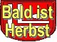 Bitte zur Ausgabe anklicken